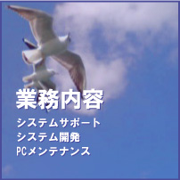 �Ɩ����e